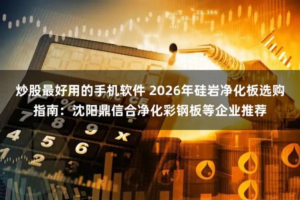 炒股最好用的手机软件 2026年硅岩净化板选购指南：沈阳鼎信合净化彩钢板等企业推荐